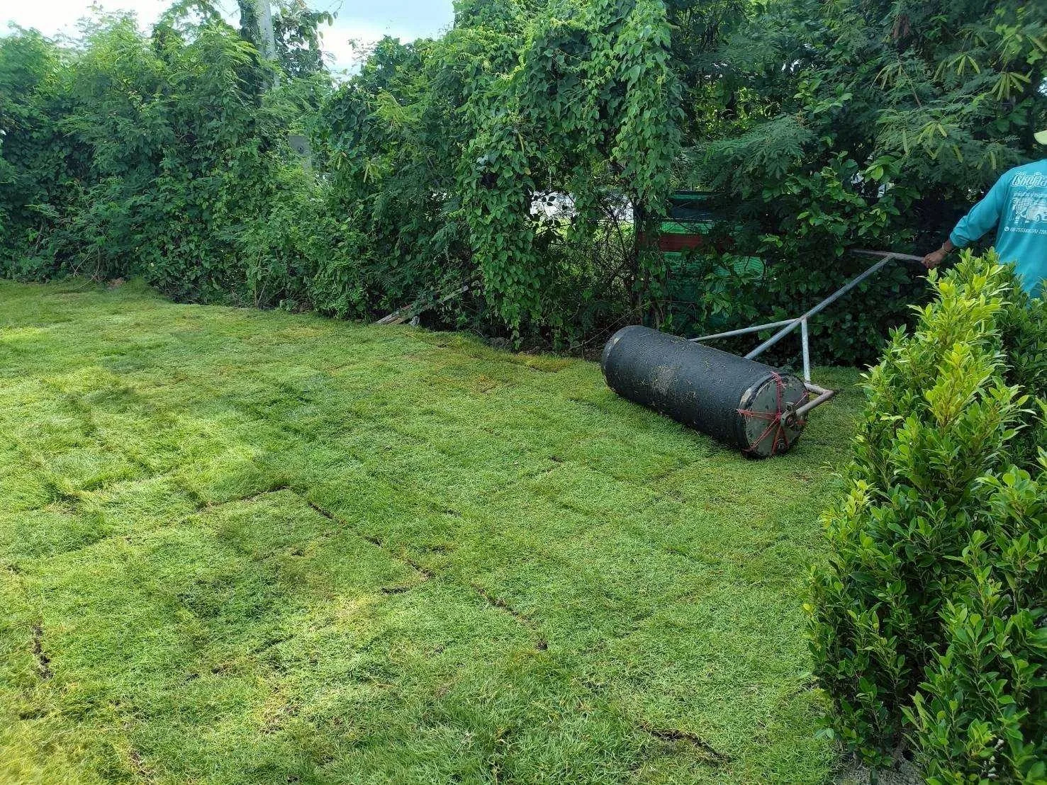 LINE_ALBUM_2025.8.1_250801_22_0